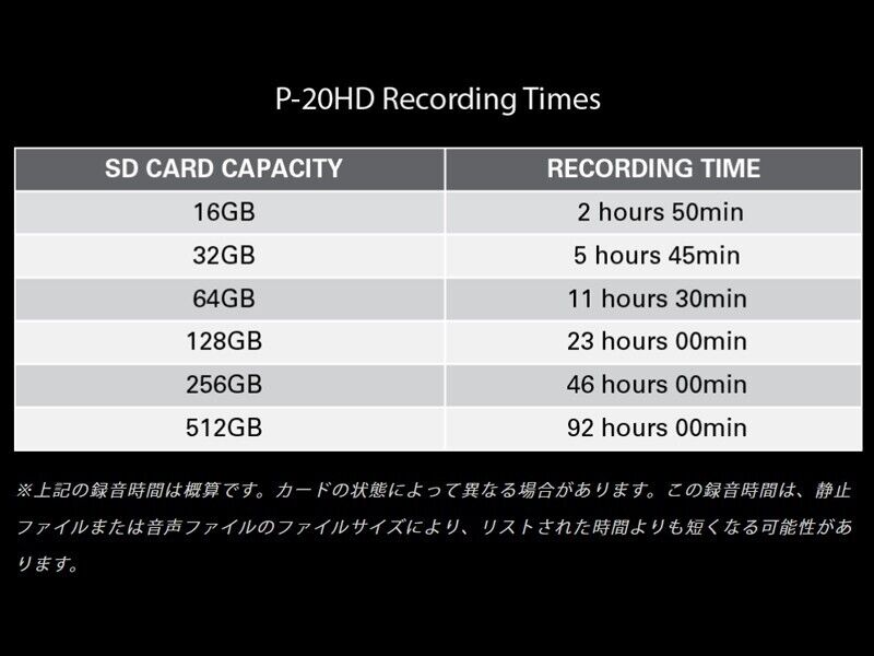 Roland P-20HD Video Instant Replayer 100V NEW