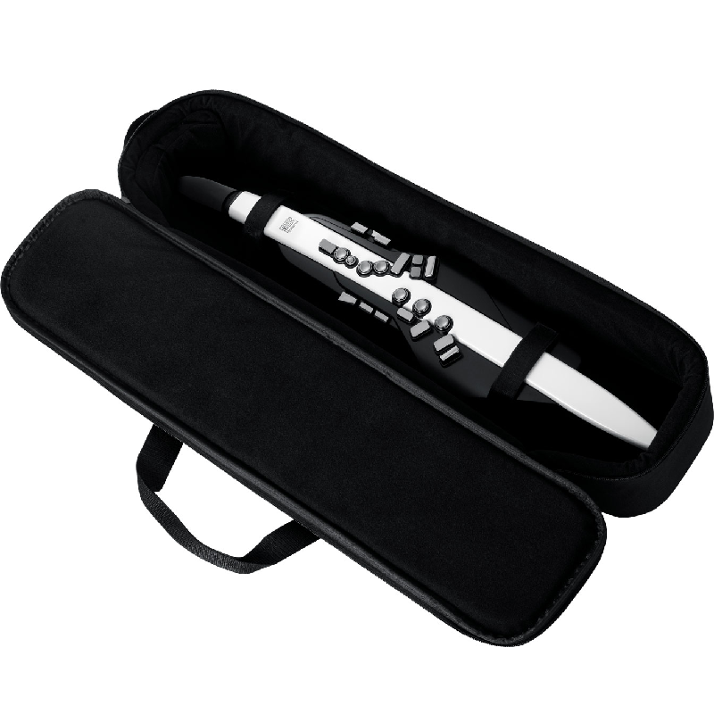 Roland Digital Wind Synthesizer Aerophone AE-20 White With Baggage NEW