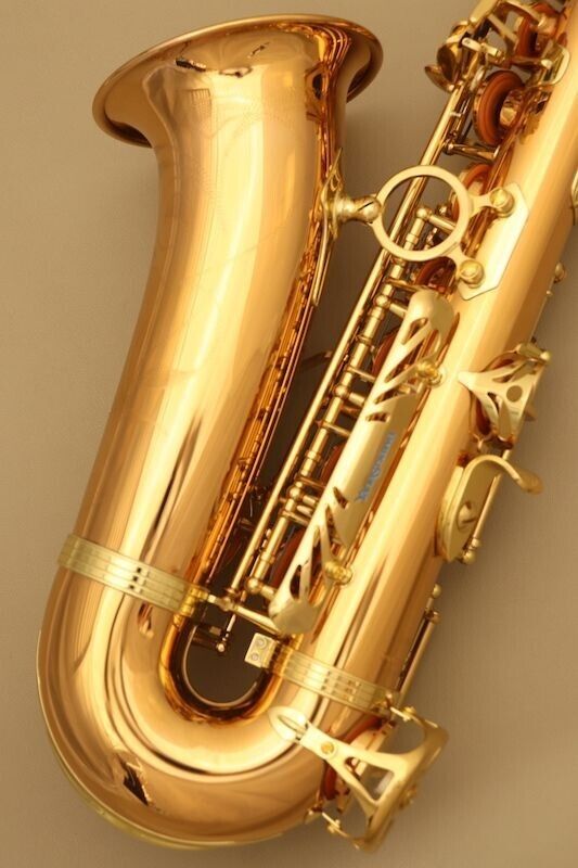 Yanagisawa A-WO2 Alto Sax Saxophone Bronze Brass Hard Case AWO2 Gold Eb Key NEW