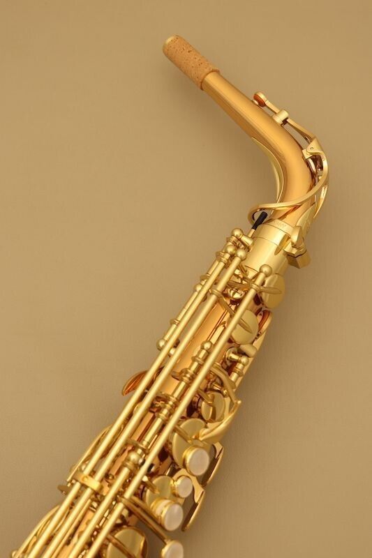 Yanagisawa A-WO2 Alto Sax Saxophone Bronze Brass Hard Case AWO2 Gold Eb Key NEW