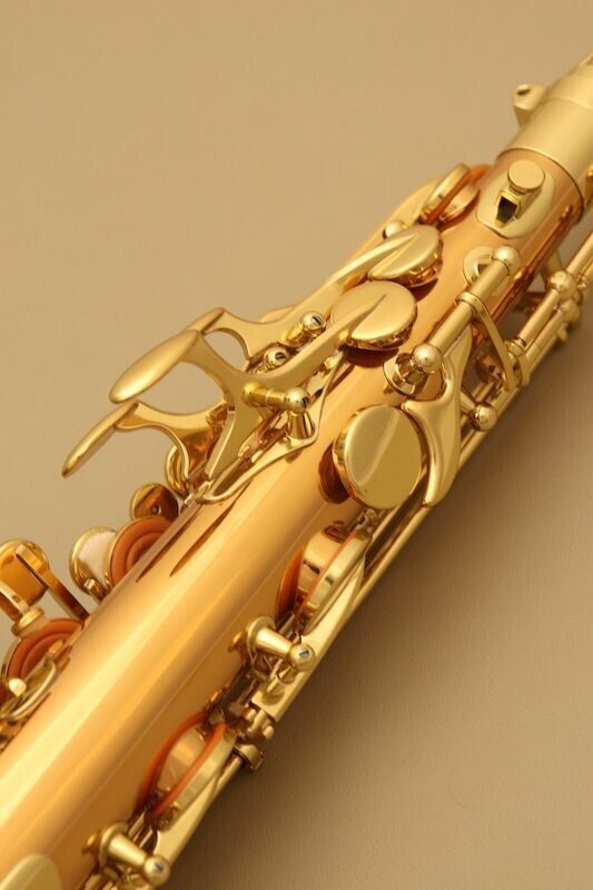 Yanagisawa A-WO2 Alto Sax Saxophone Bronze Brass Hard Case AWO2 Gold Eb Key NEW