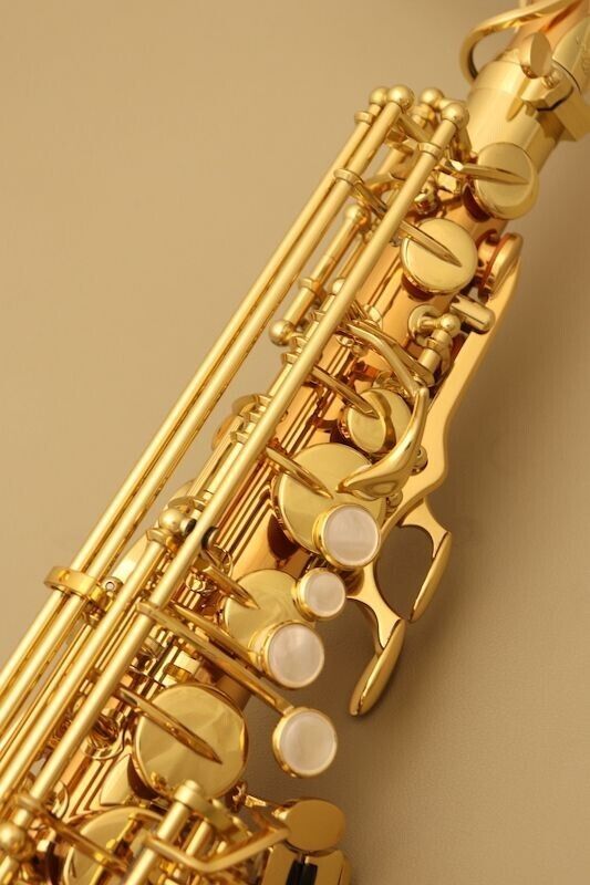 Yanagisawa A-WO2 Alto Sax Saxophone Bronze Brass Hard Case AWO2 Gold Eb Key NEW