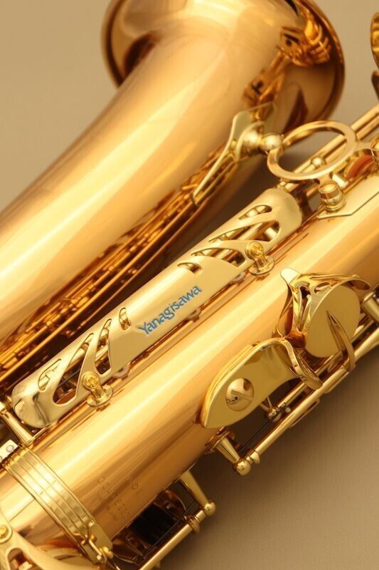 Yanagisawa A-WO2 Alto Sax Saxophone Bronze Brass Hard Case AWO2 Gold Eb Key NEW