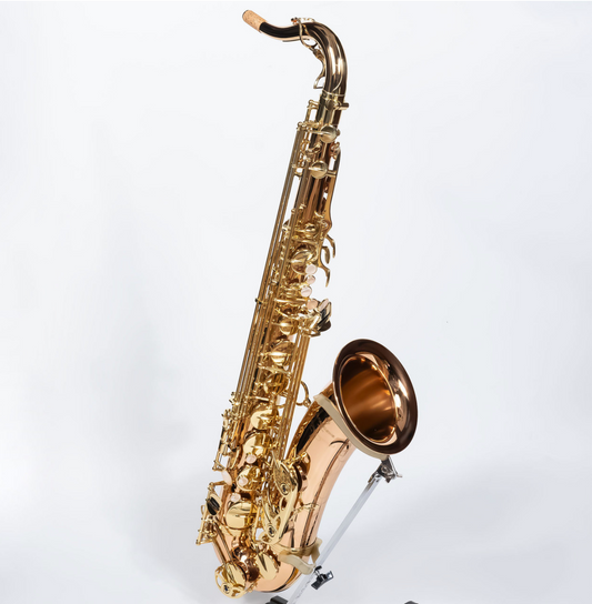 Yanagisawa T-WO20 Bronze Brass Elite Professional Tenor Saxophone Heavy Weight