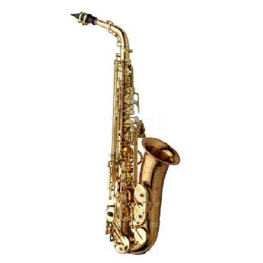 Yanagisawa A-WO20 Alto Saxophone Bronze Brass Lacquer Finish Heavy Weight NEW